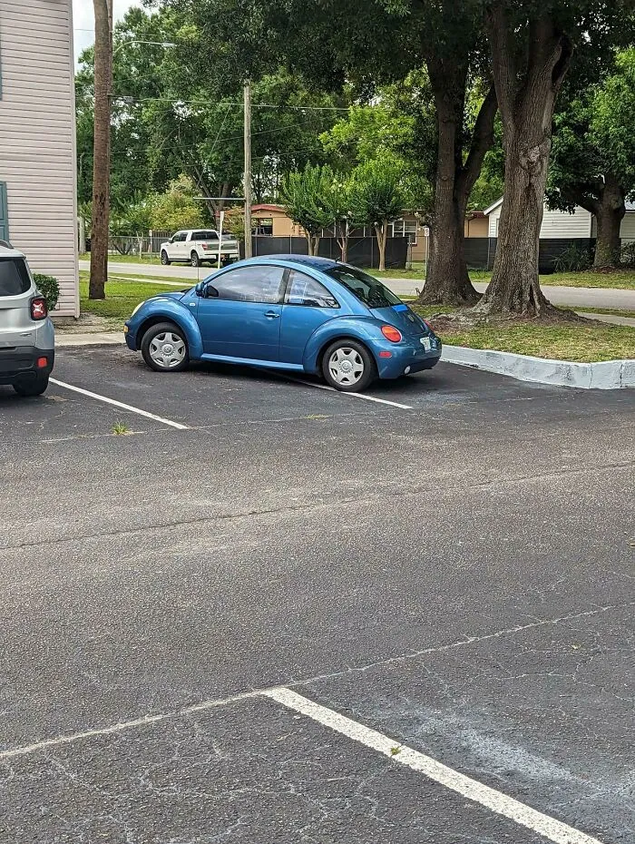Mi vecino aparca así para reservar sitio para él y el coche de su esposa en la sombra del árbol. Lleva meses haciéndolo
