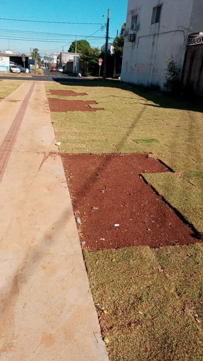 La gente robando trozos de cesped de la plaza que están construyendo en el vecindario