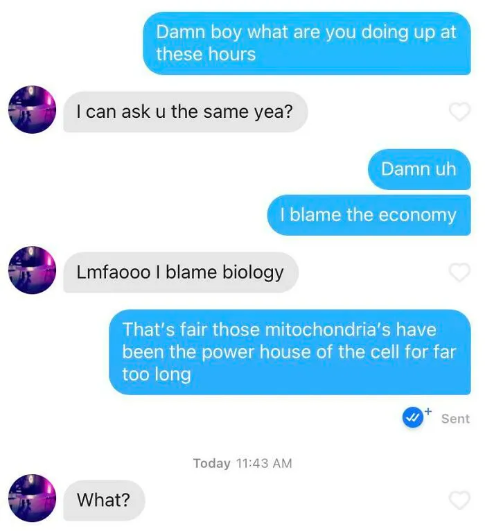 I Don't Know, I Thought It Was Funny