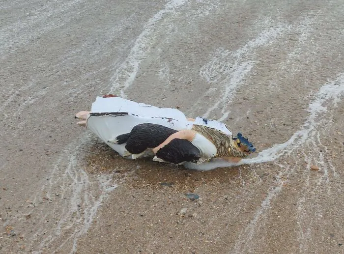 I Found A Washed Up Ship's Figurehead On My Walk