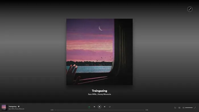 6. Spotify Album Cover Art