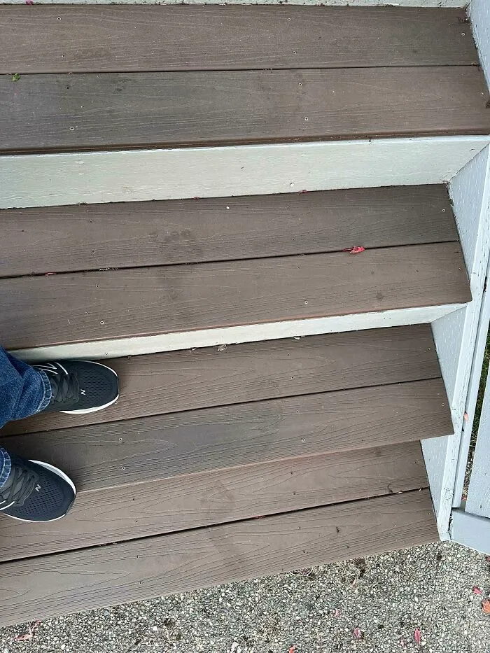 Was Leaving My House At 6am And Found This In The Dew On The Front Steps