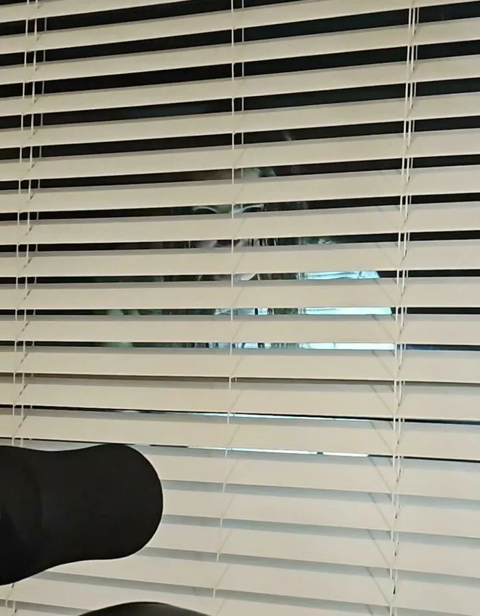 GF Taking The Dog Outside For A Shit And The Crappy Amazon Solar Lights Illuminating Her Face