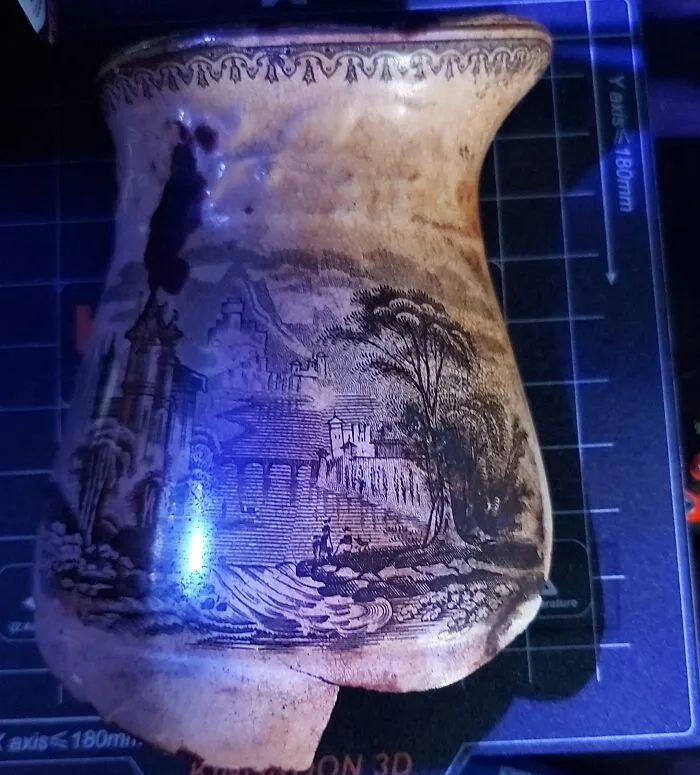 Found This Under A Rock At A Beach 