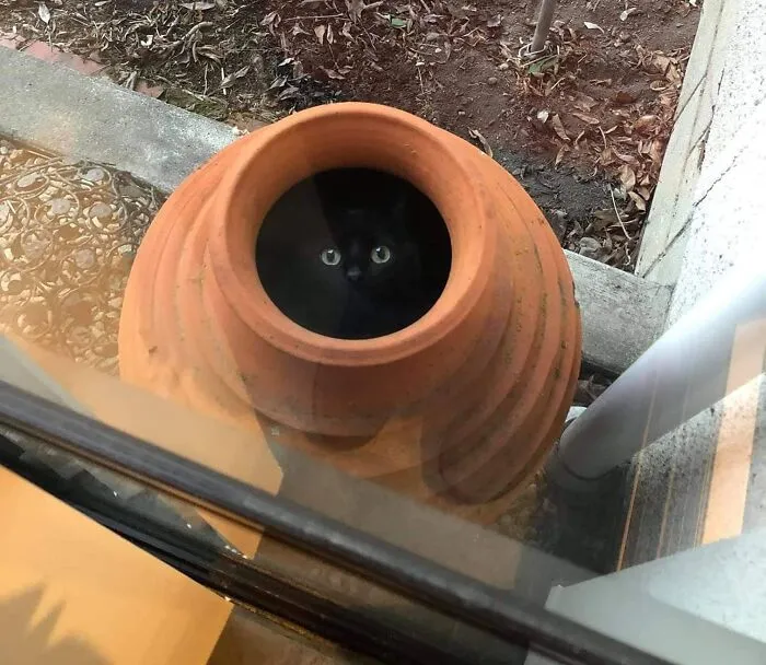 I'm Waiting To Bloom