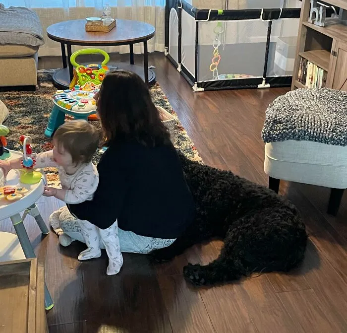 Had No Idea My Wife Was Partly Dog