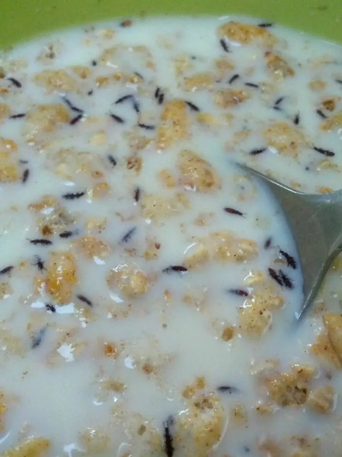 I Was Eating This For A Good Minute Before Realising Those Weren't Grains In My Granola