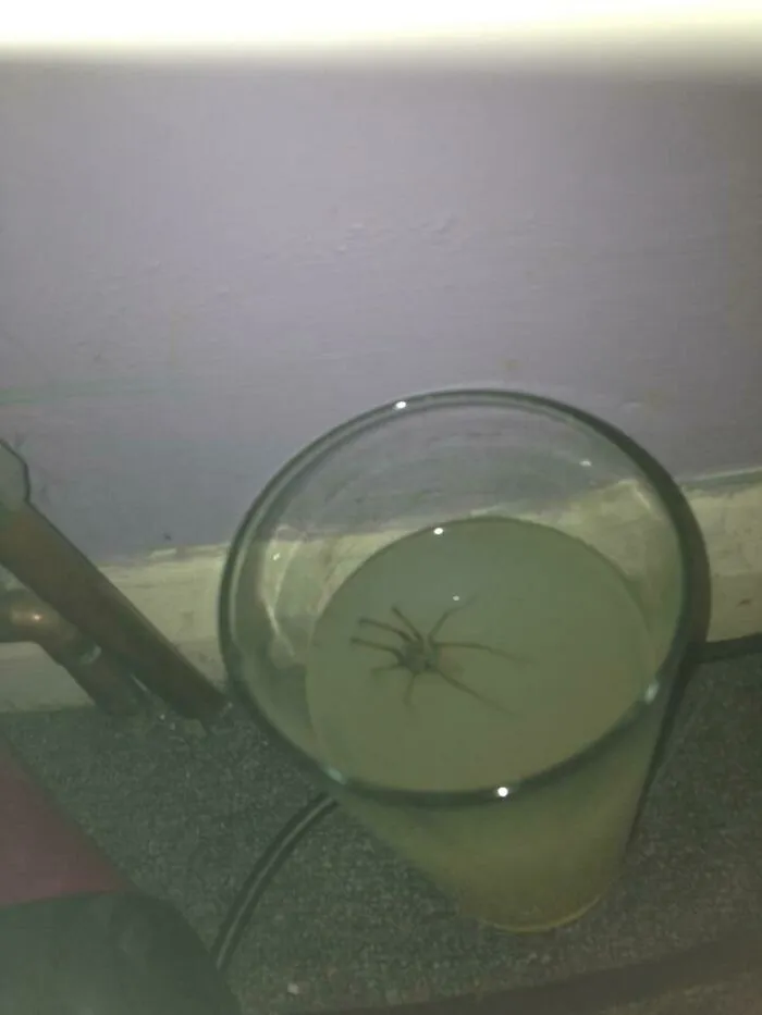 Woke Up Thirsty And Reached For My Drink