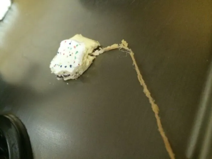 So I Was Eating A Poptart Today When