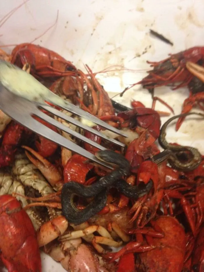 Just Eating Food At My Dining Hall When I Found This Guy