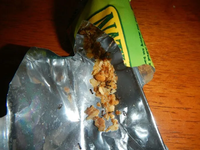 I Didn't Notice Until I Ate Them