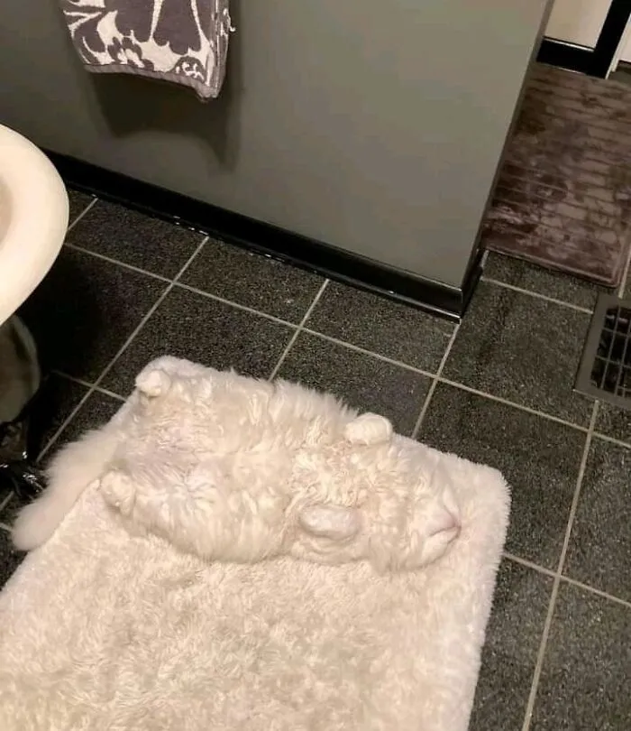 Blessed Persian Carpet