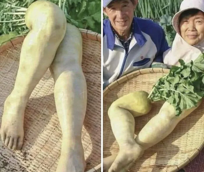 Vegetables Shaped Like Humans