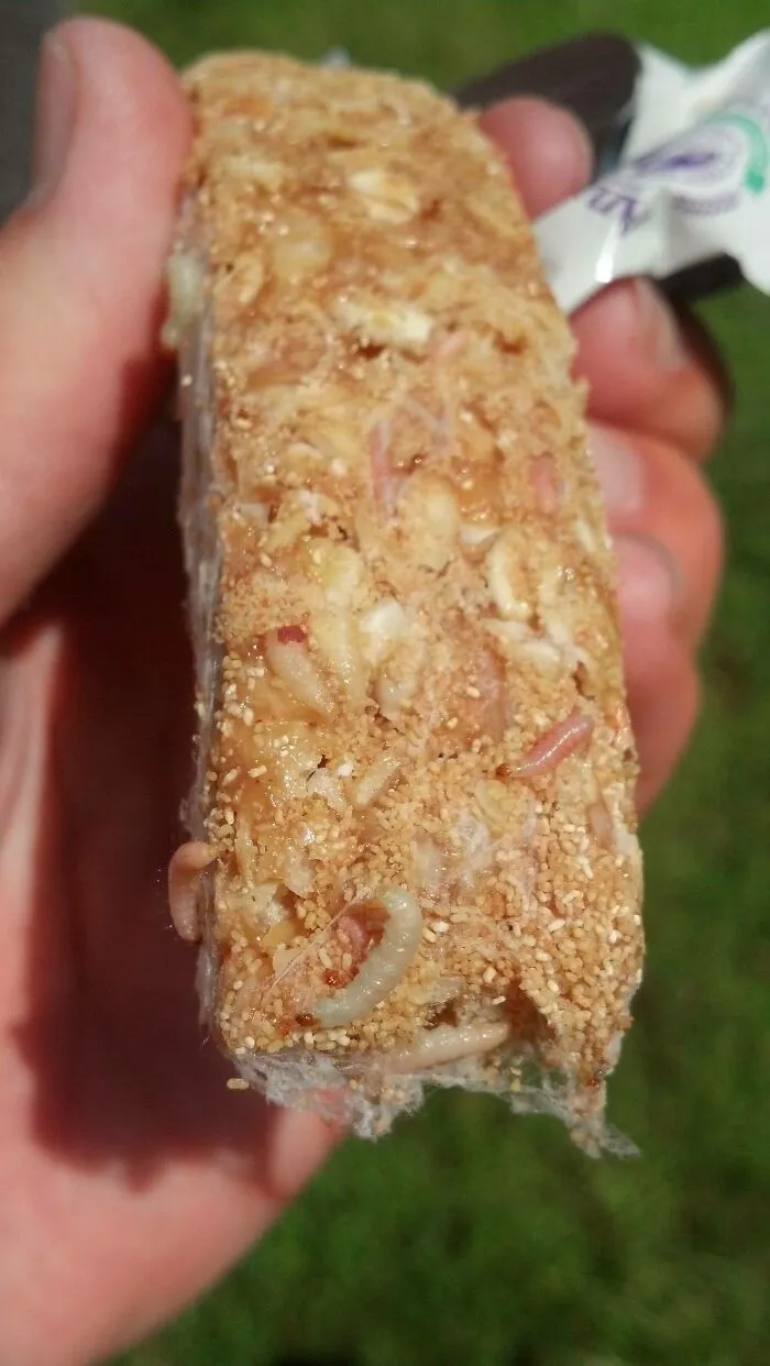 Almost Ate This On My Bike Ride Today