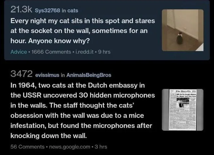 Hidden Microphones