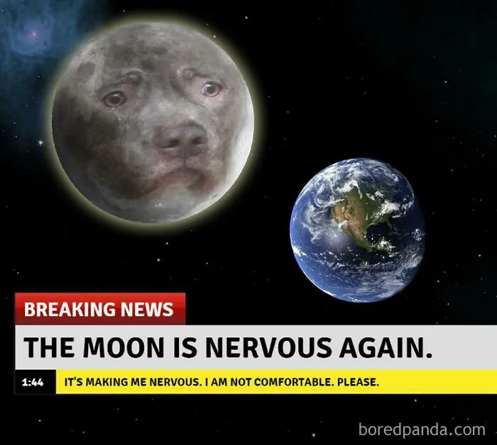 "Memes From A Future Reality": 40 Funny And Confusing Pics From This Online Group