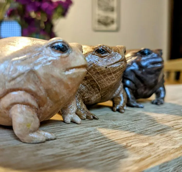 Carved A Small Handful Of Desert Rain Frogs Out Of Maple, White Oak, And Black Walnut! Love These Chunky Little Guys! Hope Y'all Do Too!