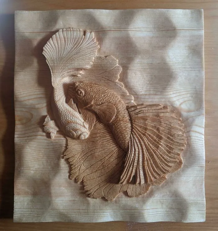 Betta Fish