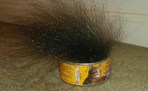 35 Curious Pictures That Can Only Be Described As ‘Moldly Interesting’