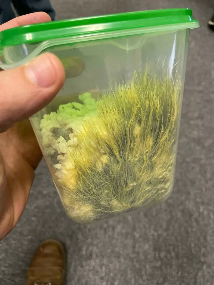 My Friend Just Found This In His Fridge. He Thinks It Was Mashed Potatoes At One Point