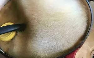 35 Curious Pictures That Can Only Be Described As ‘Moldly Interesting’