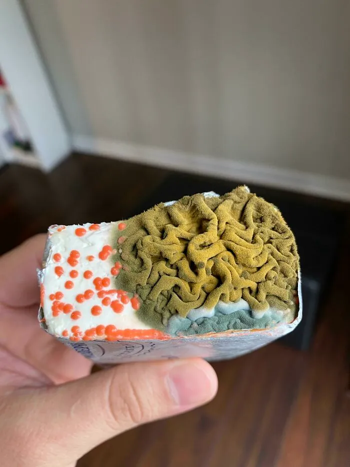 Mold On Cream Cheese