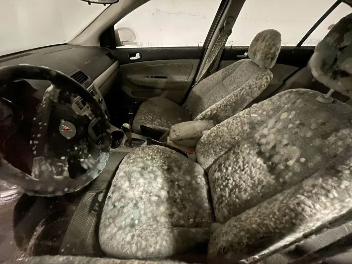 Heard You Guys Would Enjoy This Here, Car Parked Next To Me, Hasn’t Been Moved In Months, Took A Look Inside…
