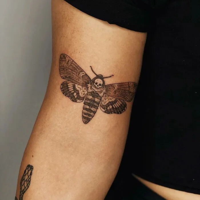Death’s-Head Hawk Moth