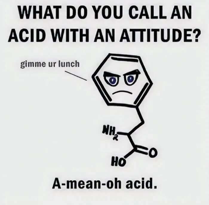 Chemistry meme of an acid with attitude saying "gimme ur lunch" with caption "A-mean-oh acid."