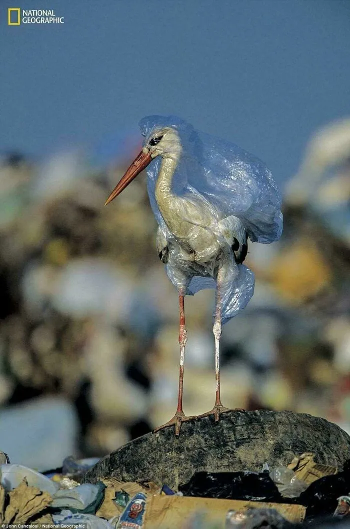A Picture Is Worth A Thousand Words