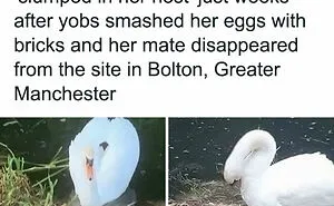 50 Of The Worst Actions Of People That Could Make Even The Most Understanding Angry