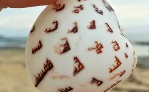 50 Of The Most Interesting Things People Ever Found On The Beach (New Pics)