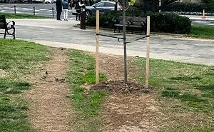 30 Times People Ignored The Designated Paths In The Name Of Convenience (New Pics)