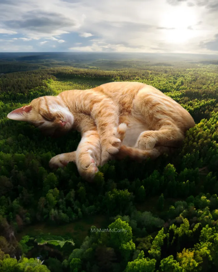 30 Adorably Unsettling Art Pieces That Show Giant Cats Ruling The World, As Imagined By This Artist