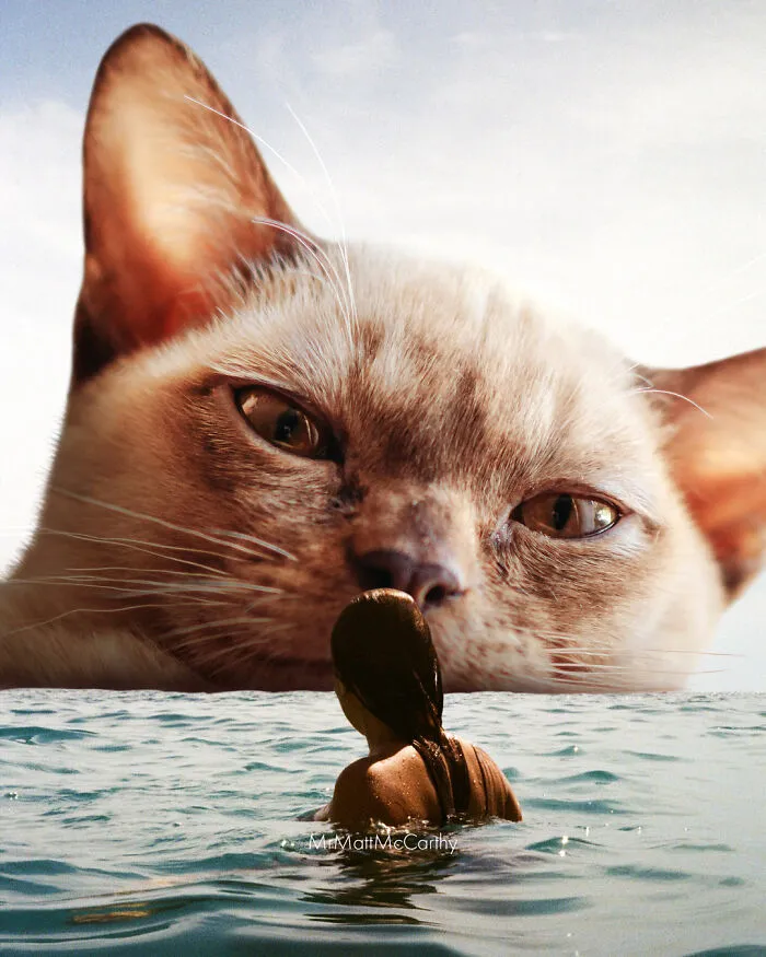 30 Adorably Unsettling Art Pieces That Show Giant Cats Ruling The World, As Imagined By This Artist