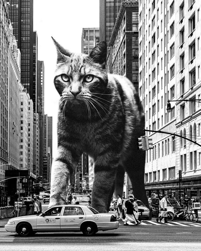30 Adorably Unsettling Art Pieces That Show Giant Cats Ruling The World, As Imagined By This Artist