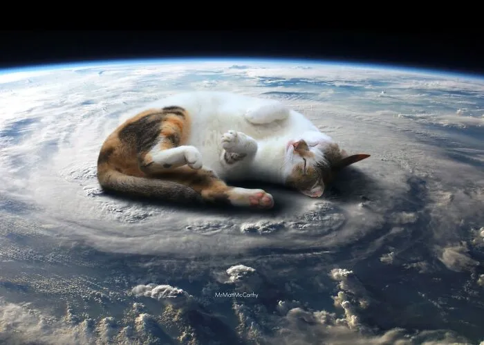 30 Adorably Unsettling Art Pieces That Show Giant Cats Ruling The World, As Imagined By This Artist
