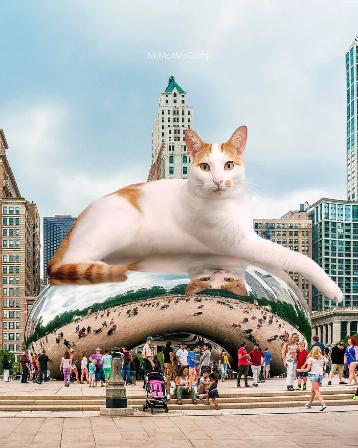 30 Adorably Unsettling Art Pieces That Show Giant Cats Ruling The World, As Imagined By This Artist