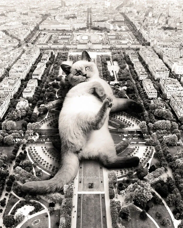 30 Adorably Unsettling Art Pieces That Show Giant Cats Ruling The World, As Imagined By This Artist