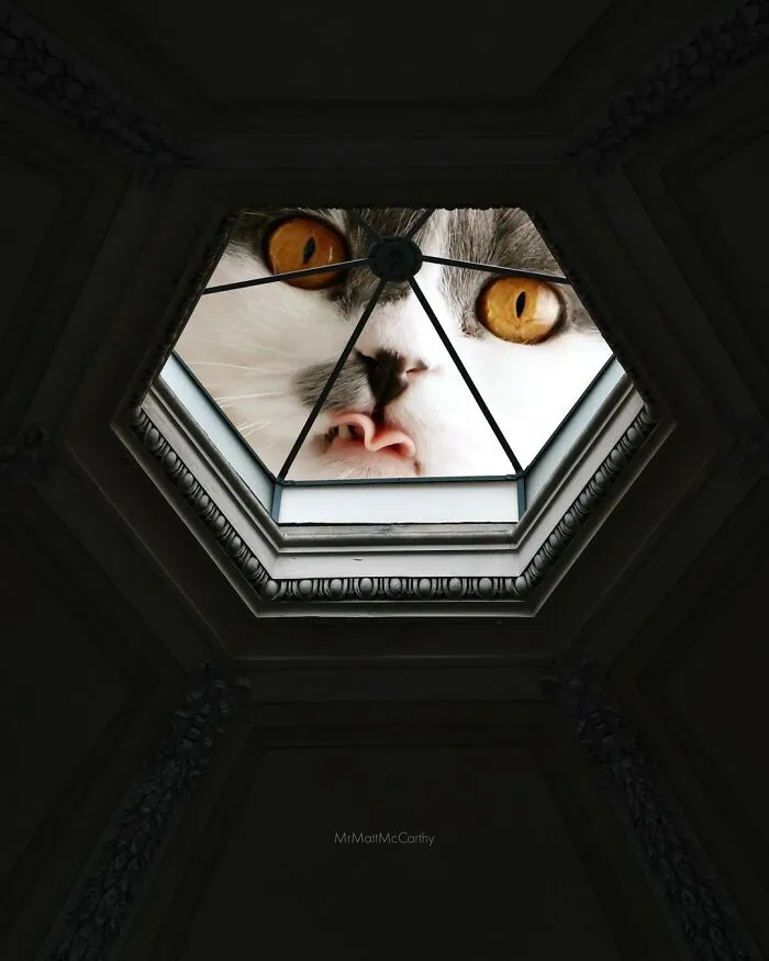 30 Adorably Unsettling Art Pieces That Show Giant Cats Ruling The World, As Imagined By This Artist