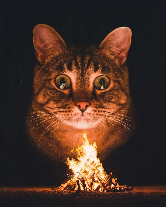 30 Adorably Unsettling Art Pieces That Show Giant Cats Ruling The World, As Imagined By This Artist