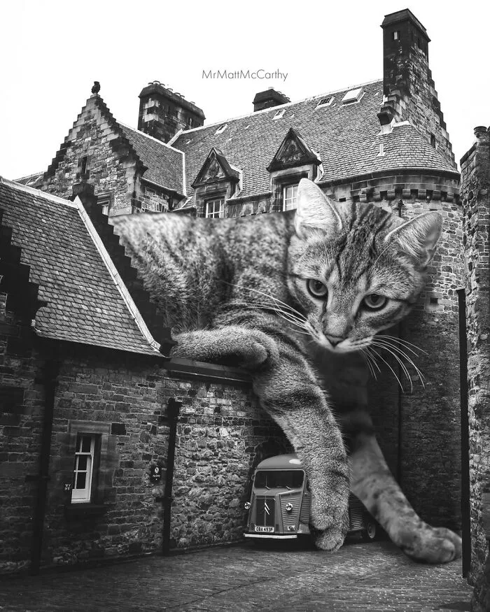 30 Adorably Unsettling Art Pieces That Show Giant Cats Ruling The World, As Imagined By This Artist