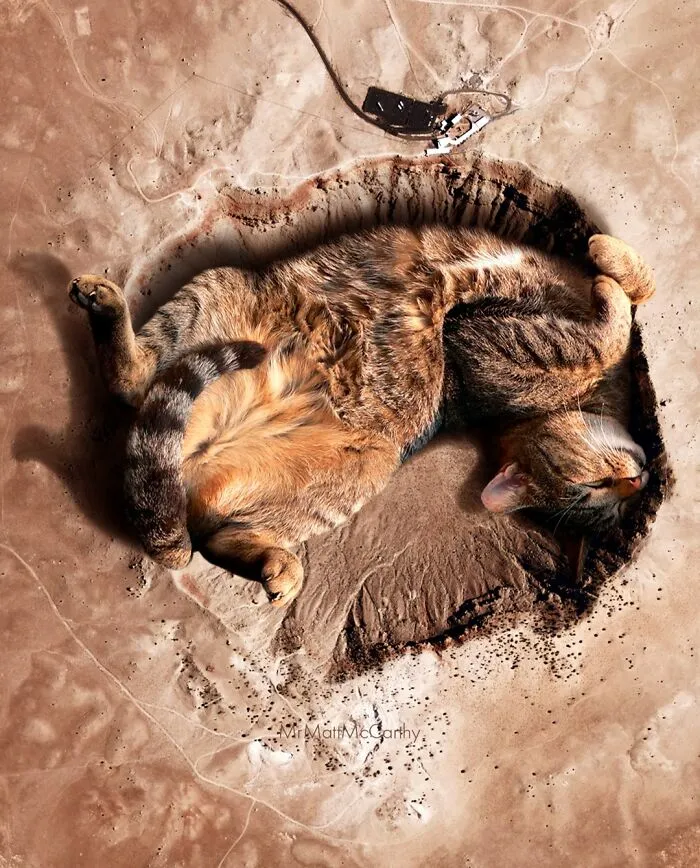 30 Adorably Unsettling Art Pieces That Show Giant Cats Ruling The World, As Imagined By This Artist