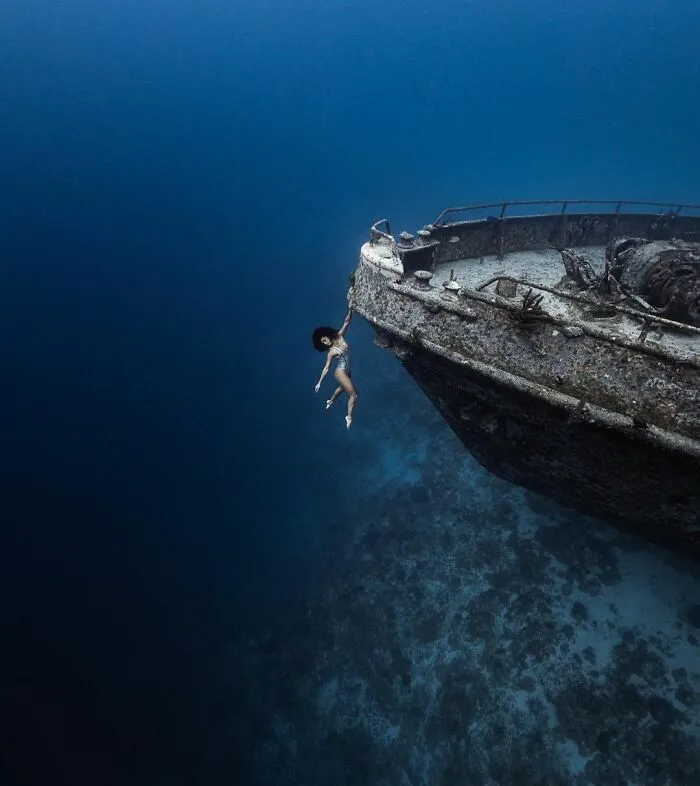 We Were At 60 Ft To Capture This Photo