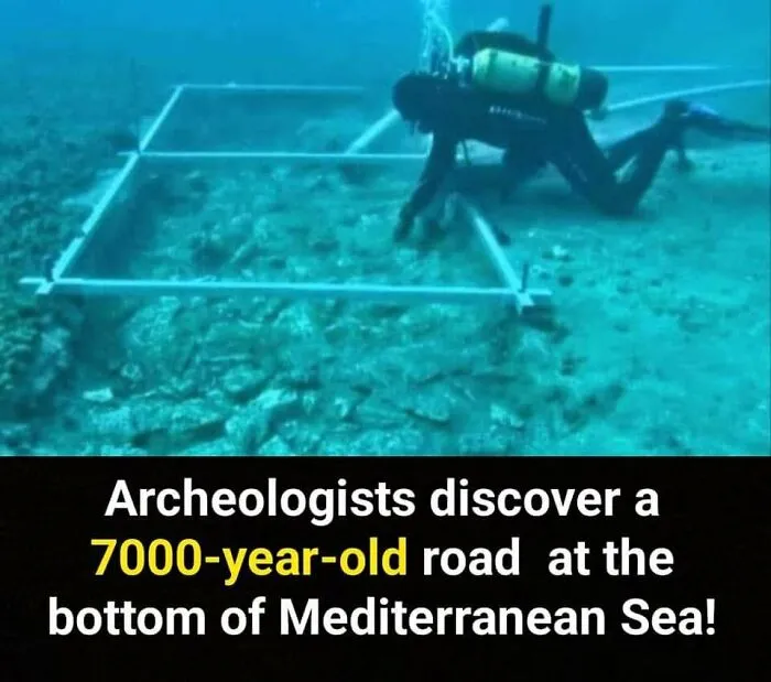 50 Bits Of Information From The ‘Unusual Facts’ FB Page That May Raise Eyebrows