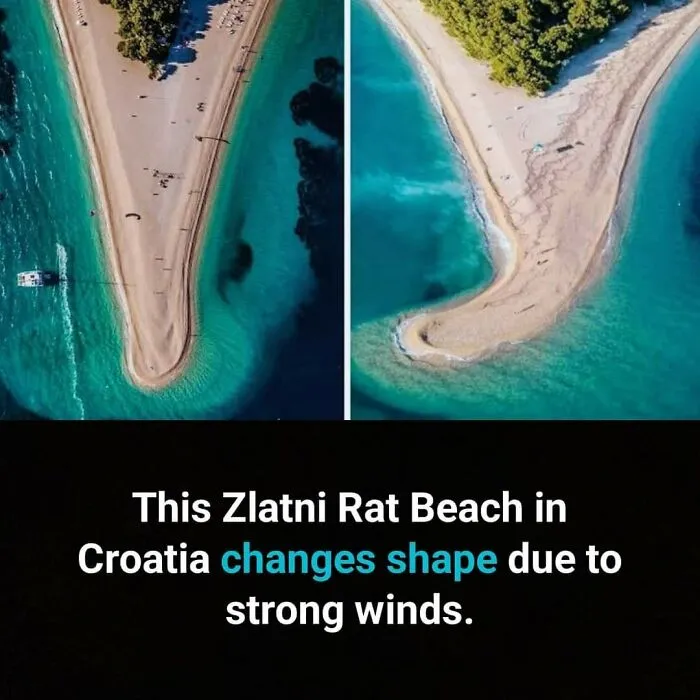 50 Bits Of Information From The ‘Unusual Facts’ FB Page That May Raise Eyebrows