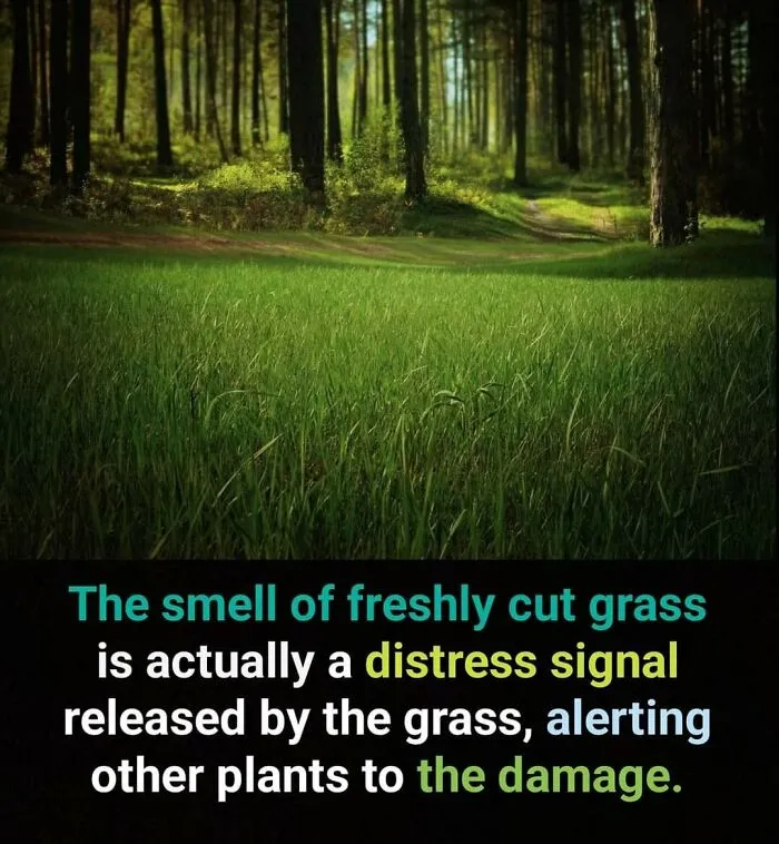 50 Bits Of Information From The ‘Unusual Facts’ FB Page That May Raise Eyebrows