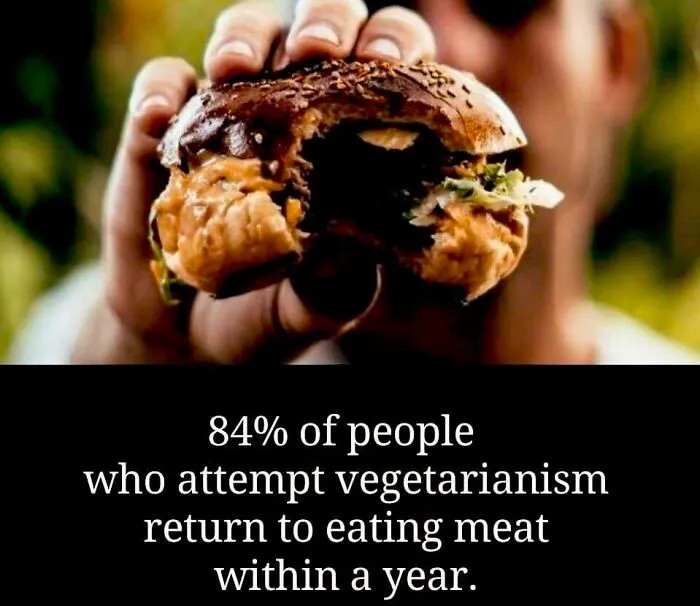 50 Bits Of Information From The ‘Unusual Facts’ FB Page That May Raise Eyebrows