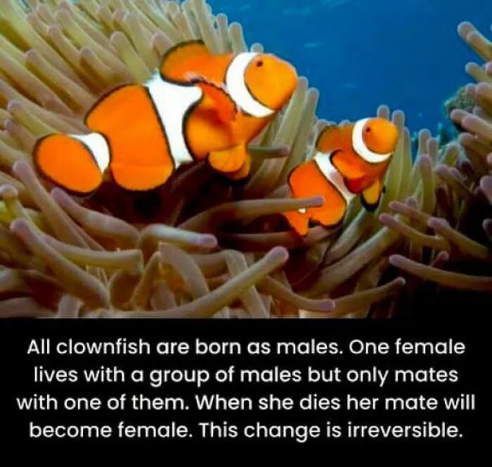 50 Bits Of Information From The ‘Unusual Facts’ FB Page That May Raise Eyebrows