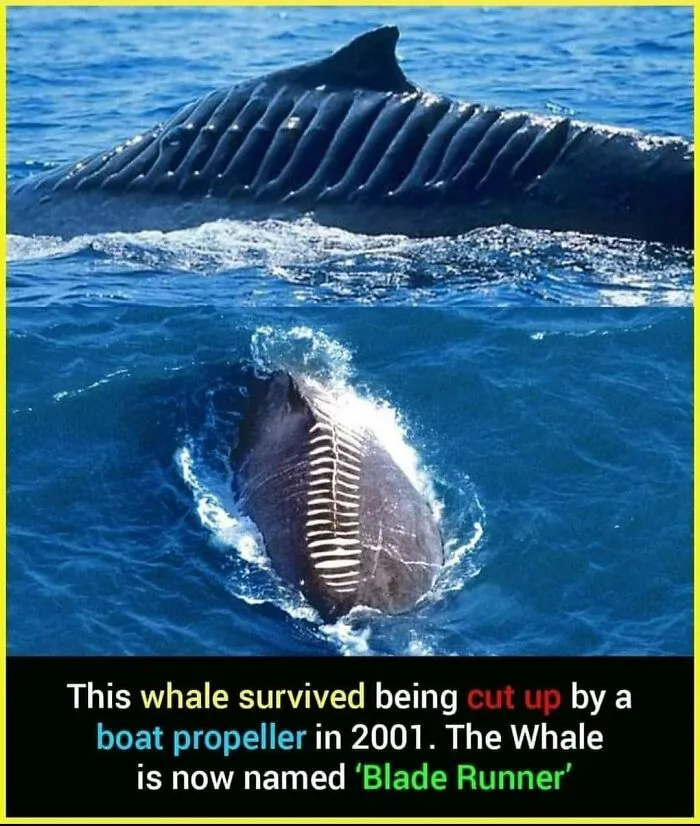 50 Bits Of Information From The ‘Unusual Facts’ FB Page That May Raise Eyebrows